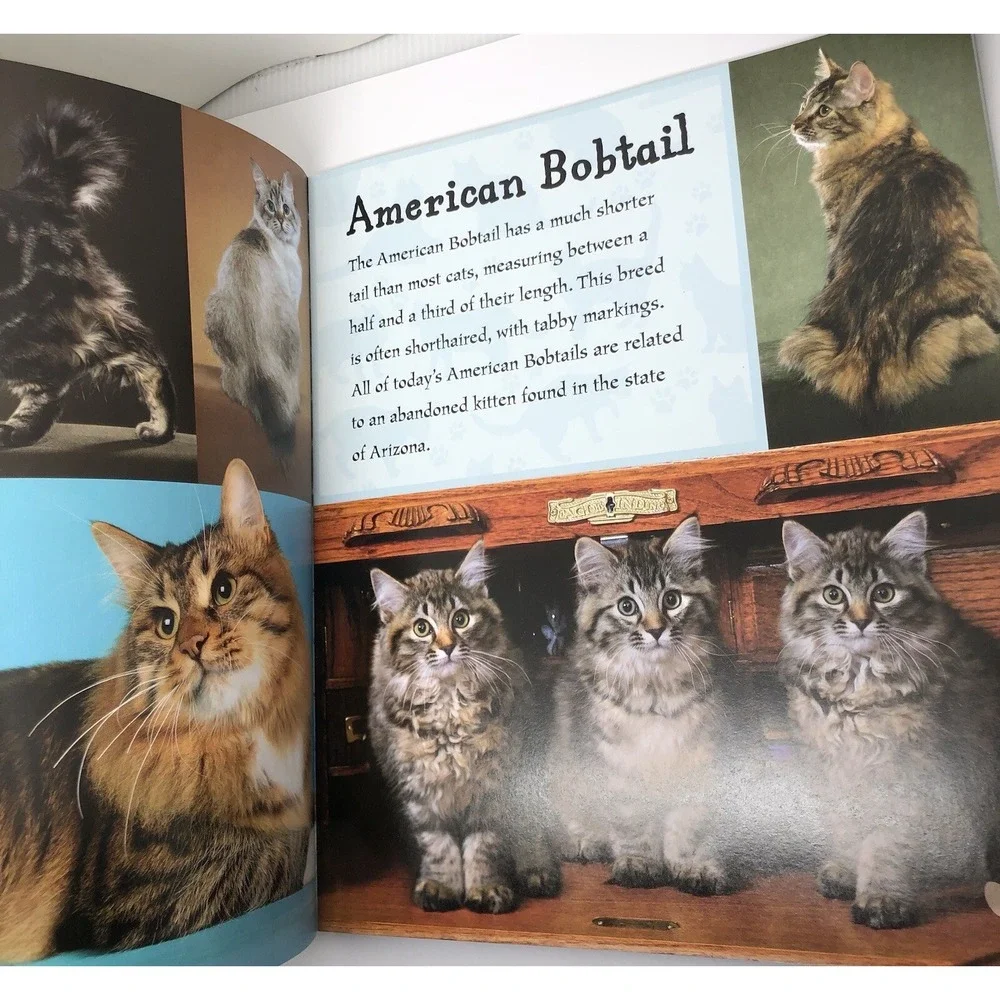 I Love: Cats and Kittens by Alderton, David (2014) Paperback Information Book‎
